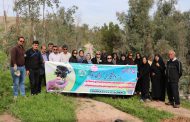 آئین روز درختکاری توسط شهرداری مسجدسلیمان گرامی داشته شد