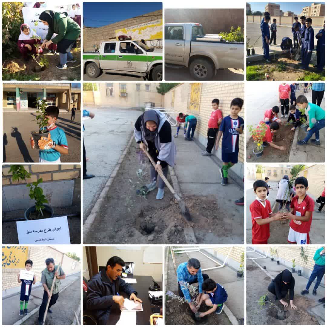 اجرای طرح مدرسه سبز با مشارکت شهرداری و انجمن همیاران محیط زیست در مدارس مسجدسلیمان