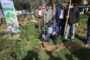 کاشت نهال به مناسبت روز درختکاری توسط شهردار مسجدسلیمان