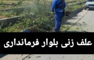 عملکرد هفتگی واحد فضای سبز شهرداری مسجدسلیمان