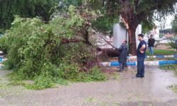 عملیات رفع آبگرفتگی معابر و جمع آوری درختان شکسته در نقاط مختلف سطح شهر اجرا شد
