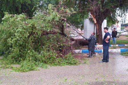 عملیات رفع آبگرفتگی معابر و جمع آوری درختان شکسته در نقاط مختلف سطح شهر اجرا شد