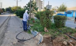 مجموعه اقدامات معاونت خدمات شهری شهردار مسجدسلیمان (واحد فضای سبز) در سطح شهر