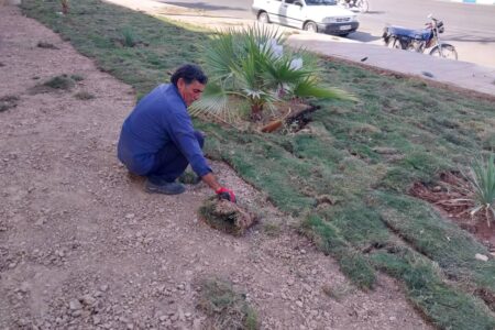 احیای فضای سبز بوستان حدفاصل مسیر سی برنج به دره اشکفت توسط معاونت خدمات شهری شهرداری مسجدسلیمان