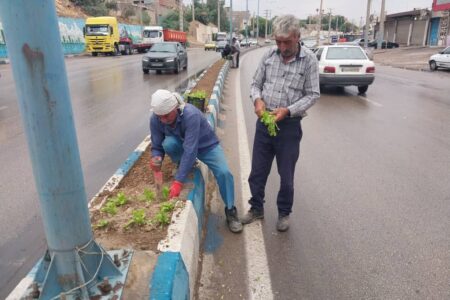 کاشت گل‌ فصلی در سطح بلوارها و میادین شهر مسجدسلیمان آغاز شد