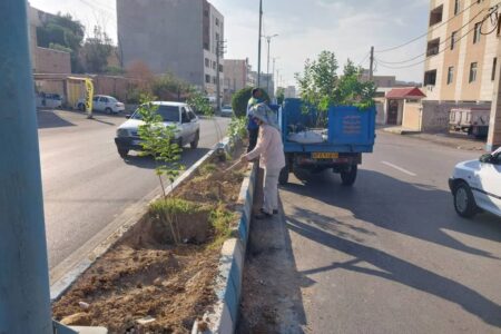 اقدامات و عملکرد هفته گذشته معاونت خدمات (واحد فضای سبز) شهرداری مسجدسلیمان