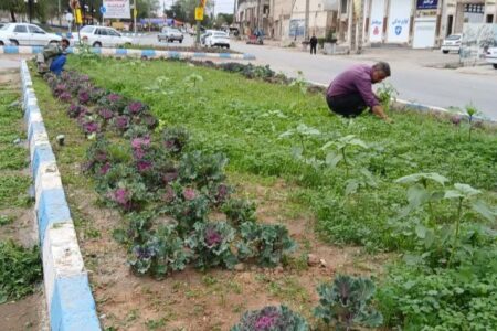 گزارش عملکرد واحد فضای سبز شهرداری مسجدسلیمان در هفته ای که گذشت